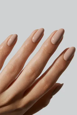 imPRESS Classic French Press-On Nails, No Glue Needed, White Tips, Medium  Almond, 33 Ct. – KISS USA