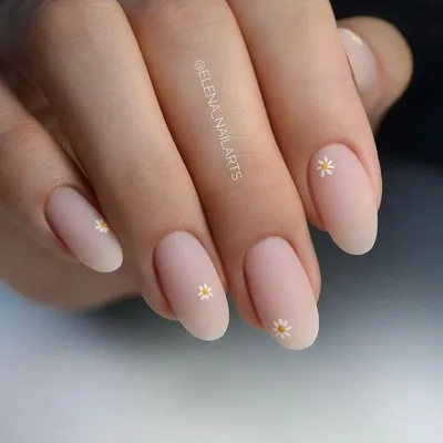 Маникюр с ромашками | Almond acrylic nails designs, Rounded acrylic nails,  Almond acrylic nails