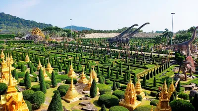 Тропический парк Нонг Нуч - экскурсия из Паттайи | Цены, описание