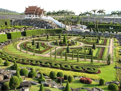 Тропический парк Нонг Нуч в Паттайе (Сад Орхидей): что посмотреть, как  добраться