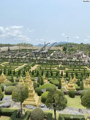 Тропический Парк Нонг Нуч- Тайланд - Бесплатное фото на Pixabay - Pixabay
