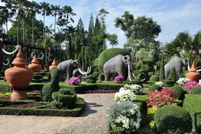 Тропический сад Нонг Нуч © цена и отзывы 2024 года • Travel Mania