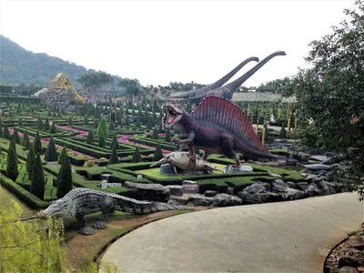 Тропический ботанический сад Нонг Нуч (Nong Nooch Tropical Botanical  Garden) | ботанический сад, собрание миниатюрных деревьев бонсаи, парк  орхидей | Паттайя | Таиланд