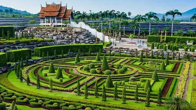 Тропический парк Nong Nooch - сад орхидей Нонг Нуч в Паттайе, Тайланд