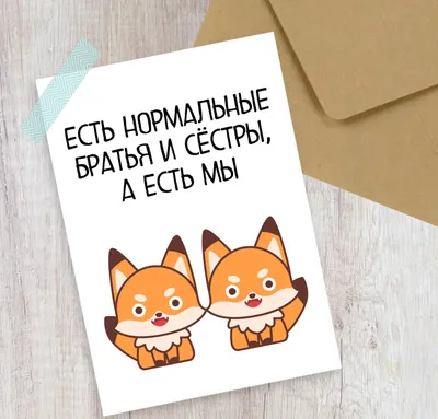 Нормальные пары: вместе романтично украшают елку и квартиру Мы: куда ты  вешаешь этот шарик он сюд / Новый Год :: рождество :: праздник :: смешные  картинки (фото приколы) :: котэ (прикольные картинки
