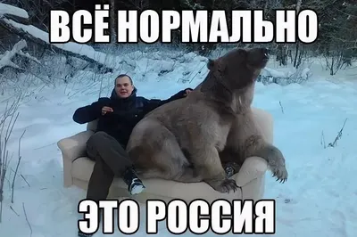 Картинки Нормальные (30 шт.) - #5753