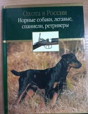 Муромцева М. - Норные собаки | Книжкова Хата - магазин цікавих книг! м.  Коломия, вул. Чорновола, 51