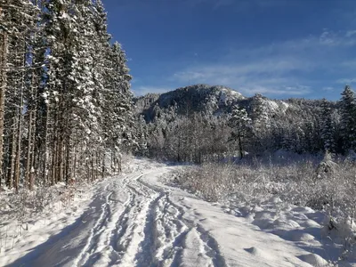 Норвегия зимой фото фотографии