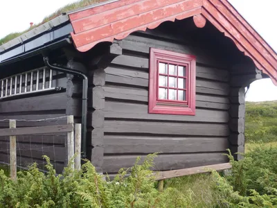 Сруб норвежская рубка лафет, построить без посредников