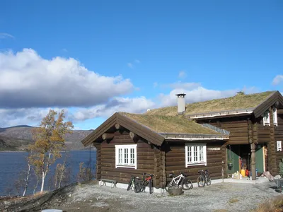Строим дом из лафета с теплой норвежской чашей: особенности технологии  рубки и сборки
