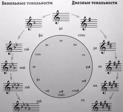 Векторные Иллюстрации Музыкальные Ноты И Паузы. Черные Музыкальные Символы,  Изолированных На Белом Фоне. Нотный Знак Установлен. Музыкальный Ключей.  Notation Ключ Клипарты, SVG, векторы, и Набор Иллюстраций Без Оплаты  Отчислений. Image 72163507