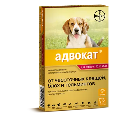 Перелом у собаки 🐶 симптомы и лечение переломов таза, ног, позвоночника,  бедра