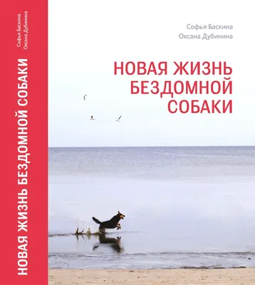 Новая жизнь, 90 капс. купить в интернет-магазине ВИТАМАКС