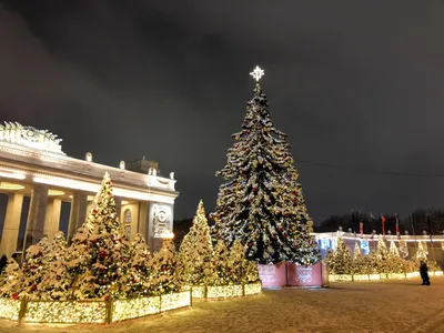 Новый Год и Рождество в Москве 2022-2023