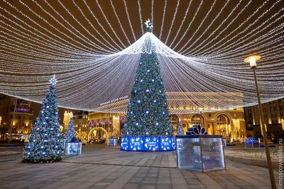Новогодняя Москва - четырехдневный тур на новогодние праздники | Пегас  Туристик