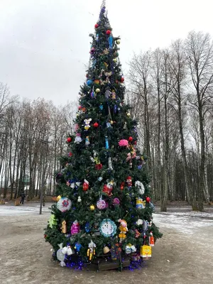 Агентство городских новостей «Москва» - Фотобанк