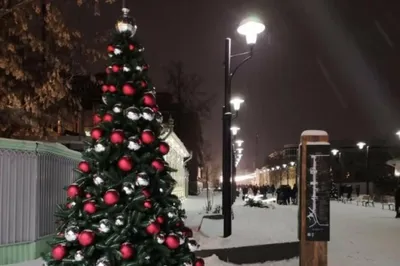 Новый год на улице | Новогодние шоу и анимация для открытых площадок
