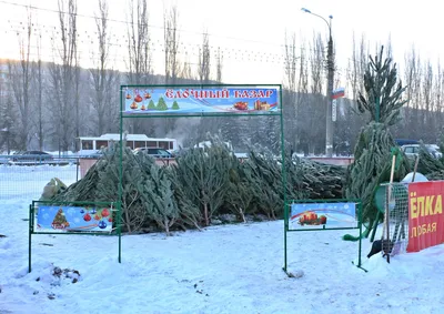 Новогодний костюм «Дед Мороз» красный (сатин) мужской Купить в Москве,  Московской области, России.