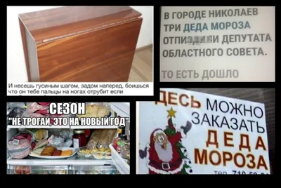 Смешные жизненные приколы про Новый Год, которые передают настоящую  атмосферу праздника! | Уютный дом с BLIZKO | Дзен