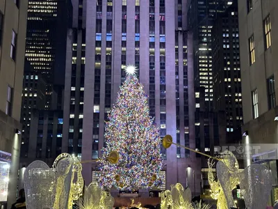 Рождество-2019 в Нью-Йорке: 12-тонная ель и гигантские красные шары