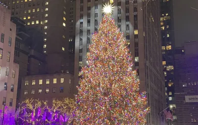 Снег на деревьях с элементами декора огней рождественские и новогодние  праздники в зимний период в Манхэттене, нью-йорк, нью-йорк Стоковое  Изображение - изображение насчитывающей тавром, январь: 169714065