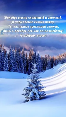 Картинки доброе утро зимние с природой и надписями (54 фото) » Картинки и  статусы про окружающий мир вокруг