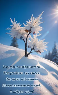 Зимние открытки \"Доброго утра!\" (236 шт.)