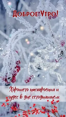 С Добрым Утром! - Дарите позитивное и волшебное настроение!