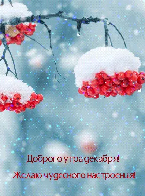 Зимние картинки \"Доброго утра и хорошего дня\" (65 штук)