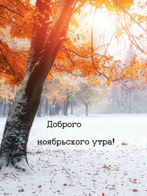 Зимние картинки \"С Добрым Утром!\" (745 шт.)