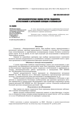 Это трудный год для гладиолусов». Но выставка в Лиепае — прекрасна (ФОТО) /  Статья