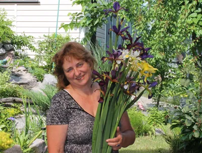 Ирис бородатый (Iris barbata) - «Большие орхидеи в саду! » | отзывы