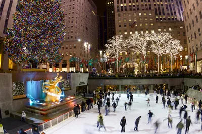 В Рокфеллер-центре установили главную рождественскую елку Нью-Йорка