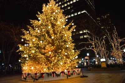Ослепительный Нью-Йорк: самые яркие улицы с рождественскими декорациями