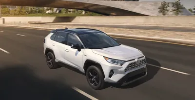 Toyota RAV4 нового поколения привезут в Россию в 2019 году