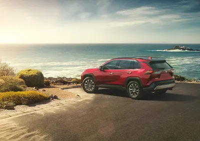 Новый Toyota RAV4 2019 модельного года: фото и видео - Auto24