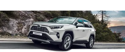 Названы сроки появления в России новой Toyota RAV4 — Motor