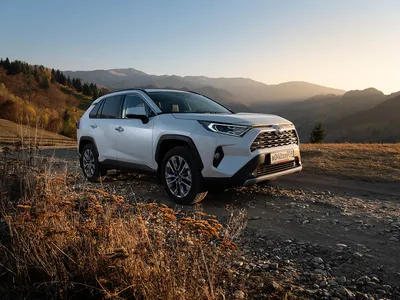 Toyota RAV 4 2019 | Pro Auto | Дзен