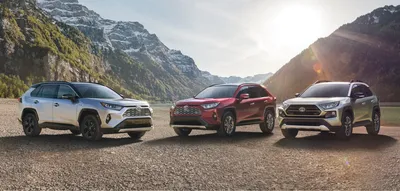 Новый Toyota RAV4 для России: стали известны цены и комплектации -  Российская газета