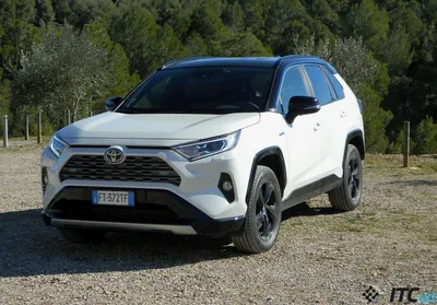 Как долго мы все этого ждали!!!Премьера этого года: абсолютно новый Toyota  RAV4 совсем скоро станет доступен для заказа! - Новости - О компании -  Официальный дилер Тойота в Санкт-Петербурге