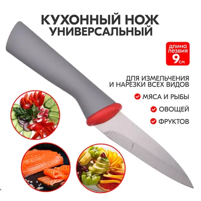 Кухоный нож для фруктов и овощей 10см Attribute Gourmet APK003 - купить в  интернет-магазине Отличная