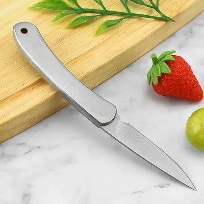 Нож кухонный поварской Samura INCA Eco Фрутоножик для нарезки овощей фруктов  SC-0011BL купить, цены в Москве на Мегамаркет