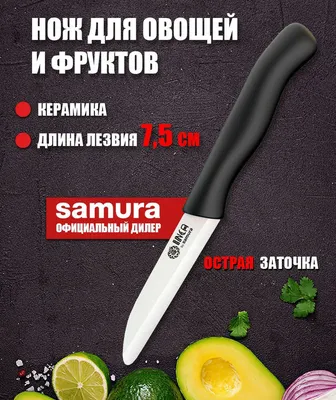 Портативный мини-нож для фруктов, овощей, фруктов, пилинг из нержавеющей  стали, складной нож для фруктов, безблокировочный Карманный Магнитный |  AliExpress