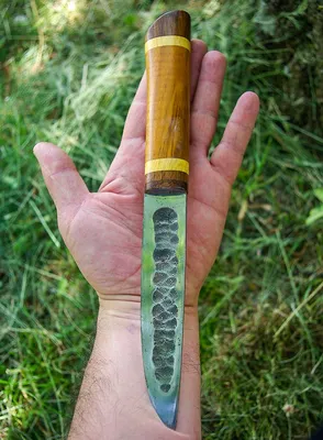 Нож туристический Кизляр Якутский AUS-8 орех | Магазин ножей Forest-Home