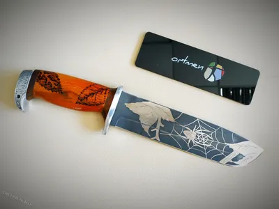 Нож Медведь сталь булат рукоять граб купить в arsgrupp.ru | Цена