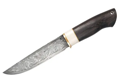 Купить Нож Аники танто из стали N690 от производителя РВС за 10000 руб в  интенет-магазине ТД Кузнецы