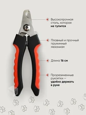 Прямые ножницы для грумминга собак (ножницы грумерские 6д) (ID#1578936774),  цена: 875 ₴, купить на Prom.ua