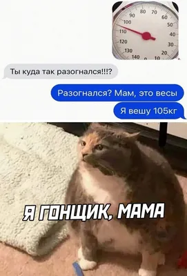 https://vk.com/smeshnyykartinki