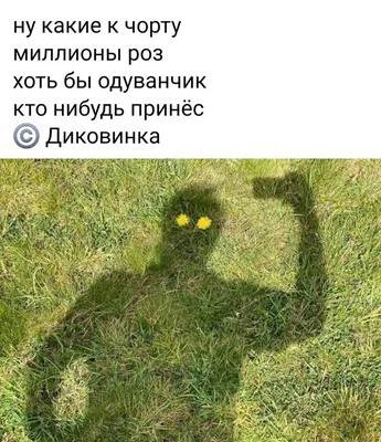 Очень страшное кино 2, 2001 — описание, интересные факты — Кинопоиск