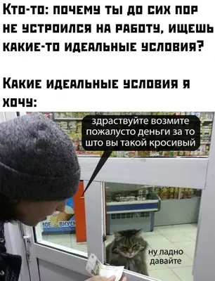 Пин от пользователя Елена на доске очень смешное | Смешные открытки, Шутки,  Каламбуры